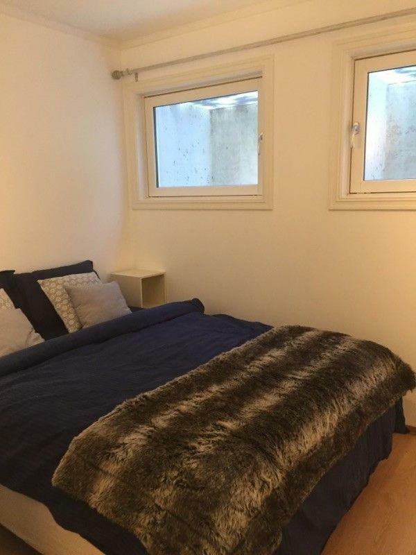 Cozy Basement Near Central Apartment *
